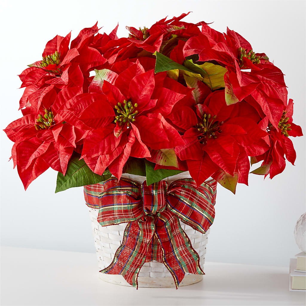 Happiest Holidays Poinsettia – Love Blossoms Florist, Lexington NC