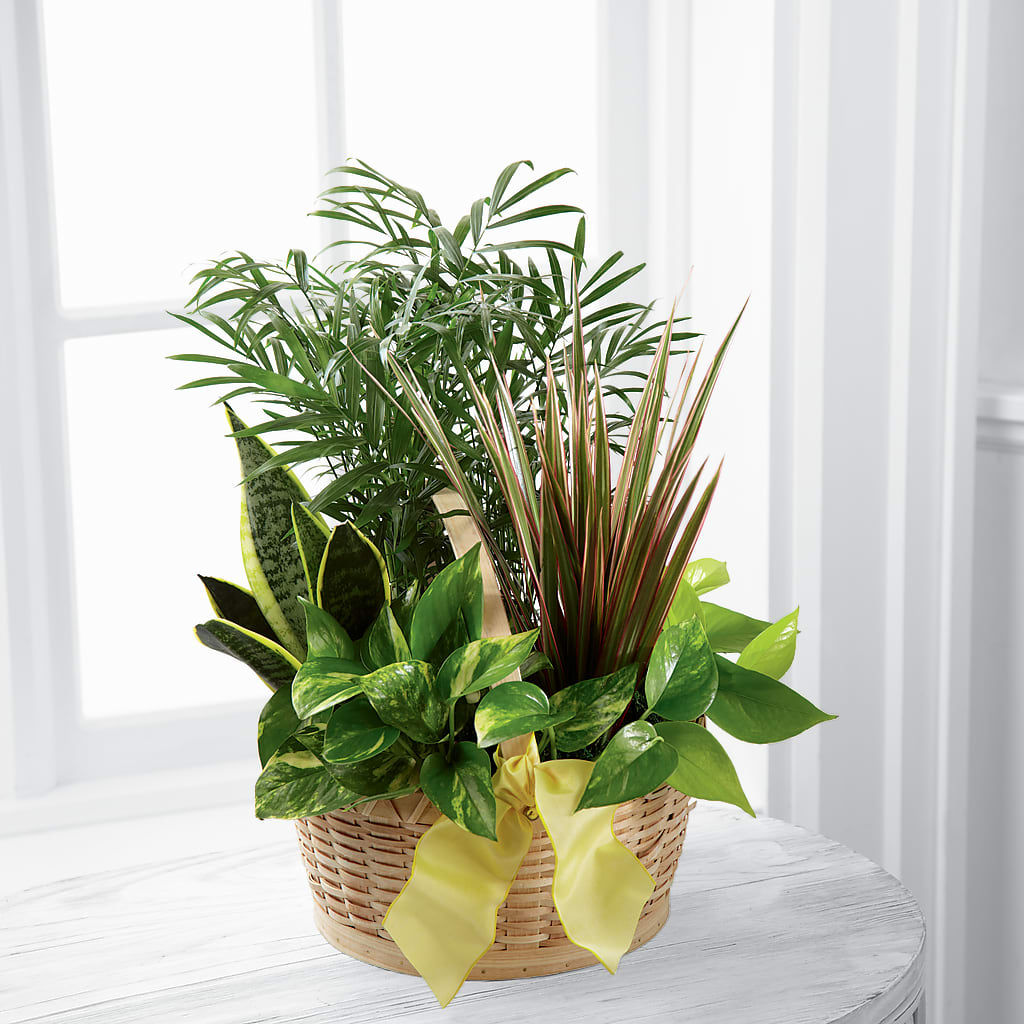French Garden – Love Blossoms Florist, Lexington NC