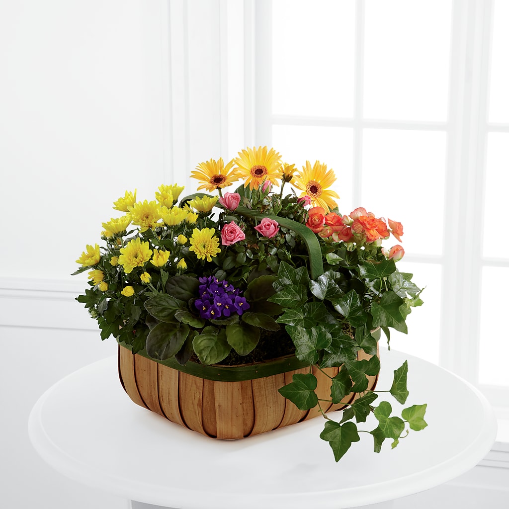 Gentle Blossoms Basket – Love Blossoms Florist, Lexington NC