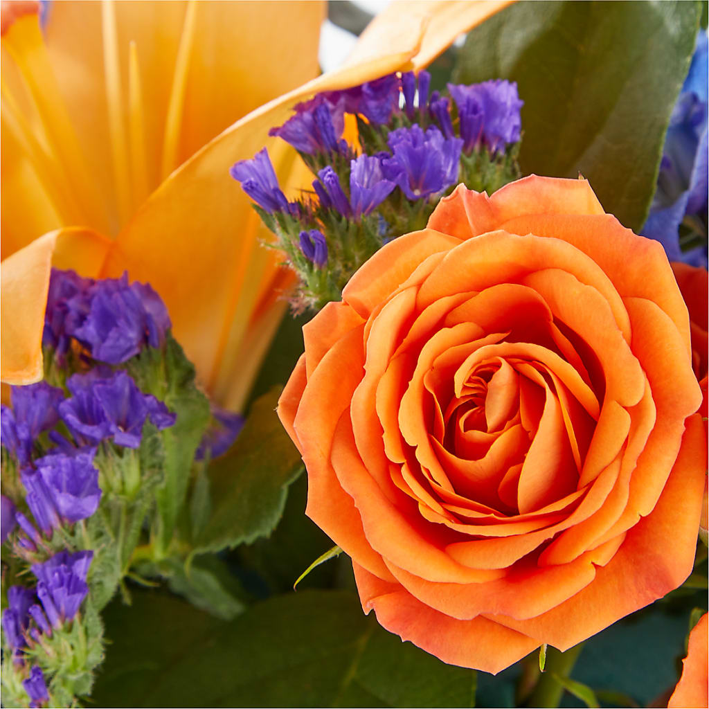 Radiant Citrus Box Bouquet – Love Blossoms Florist, Lexington NC