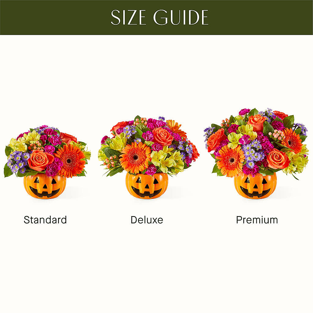 Tricks & Treats Pumpkin – Love Blossoms Florist, Lexington NC