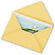 Greeting Card – Love Blossoms Florist, Lexington NC