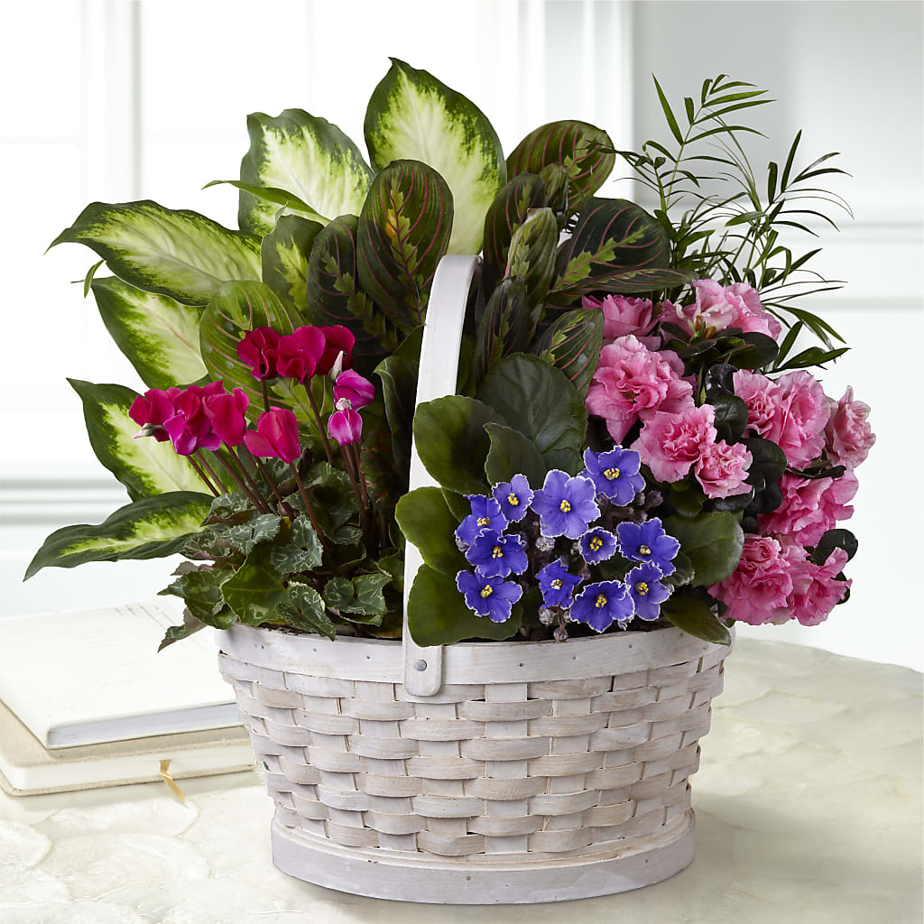 Peaceful Garden Planter – Love Blossoms Florist, Lexington NC