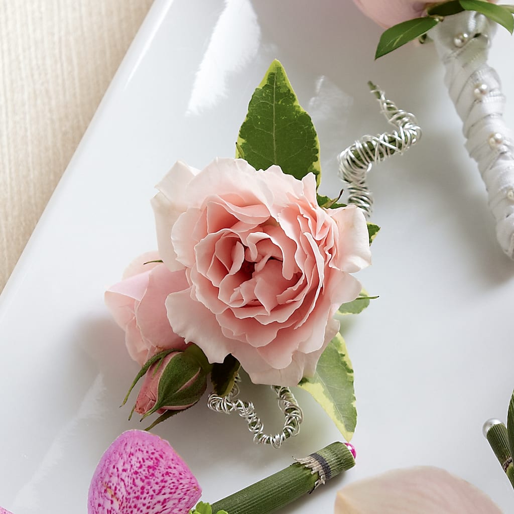 Pink Spray Rose Boutonniere – Love Blossoms Florist, Lexington NC