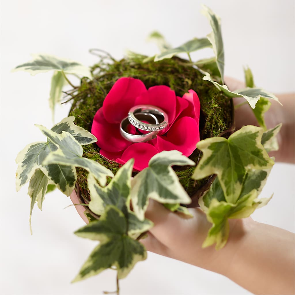 Lila Rose Ring Nest – Love Blossoms Florist, Lexington NC
