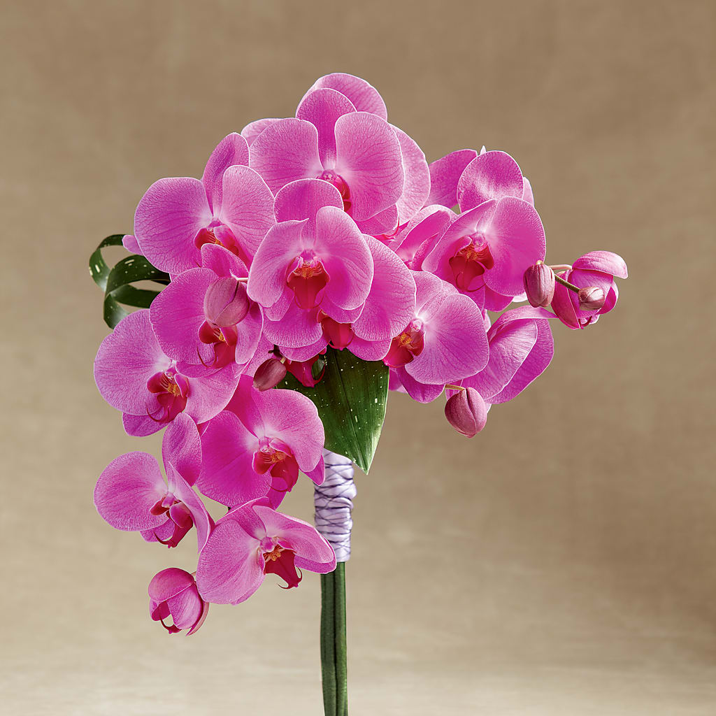 Glorious Bouquet – Love Blossoms Florist, Lexington NC