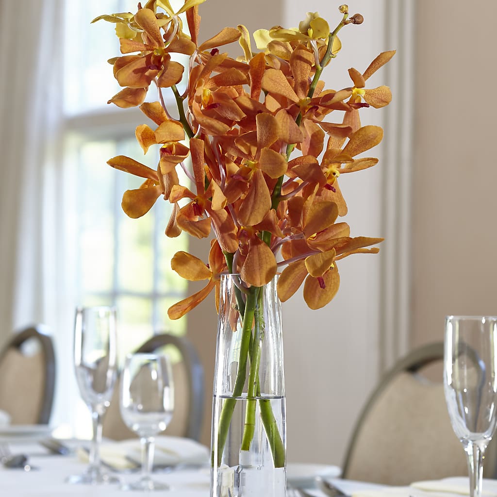 Orange Mokara Bud Vase – Love Blossoms Florist, Lexington NC