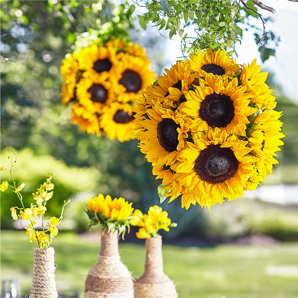 Sublime Garden Hanging Arrangement – Love Blossoms Florist, Lexington NC