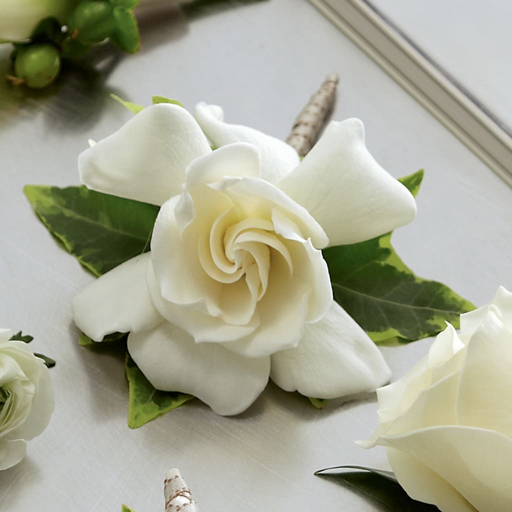 Gardenia Boutonniere – Love Blossoms Florist, Lexington NC