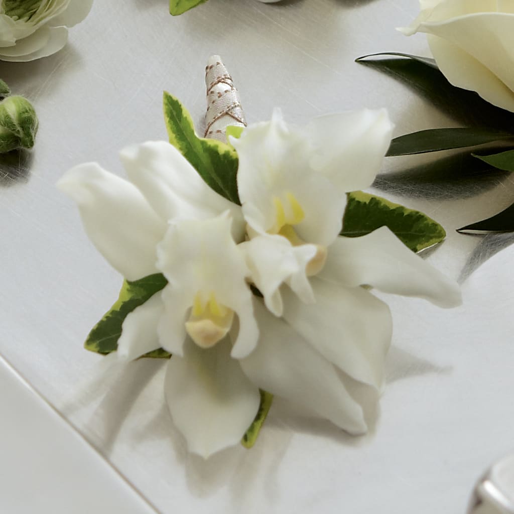 White Mini Cymbidium Boutonniere – Love Blossoms Florist, Lexington NC