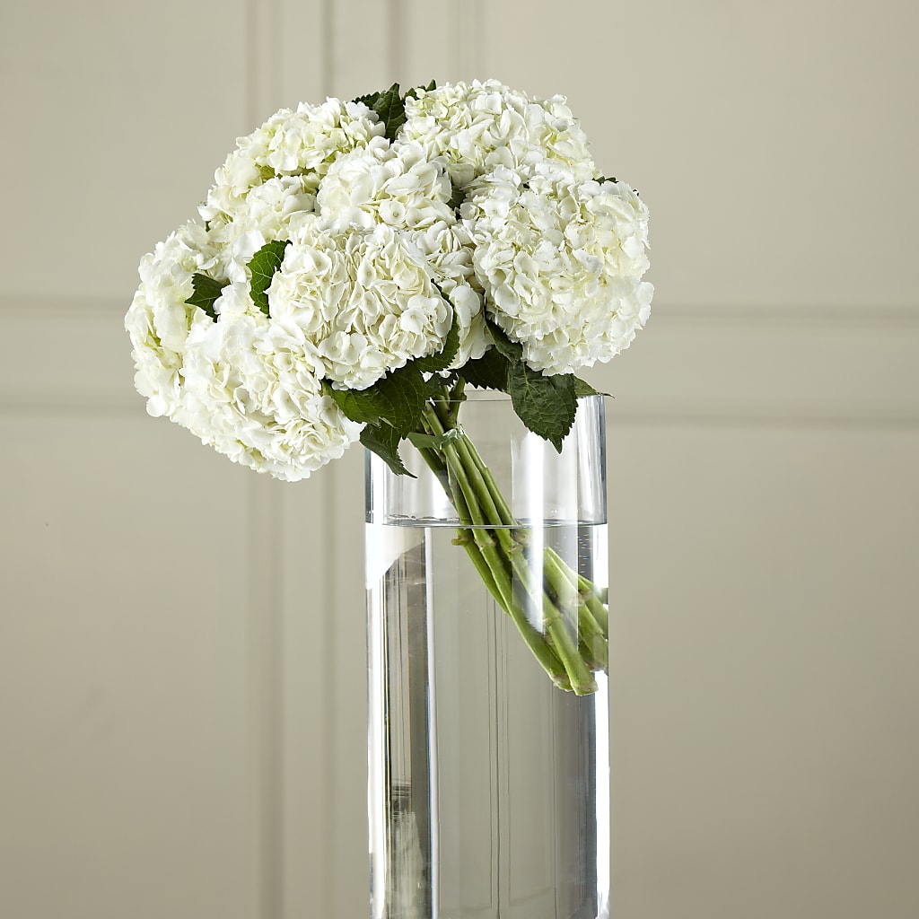 White Hydrangea Hand-Tied Bouquet – Love Blossoms Florist, Lexington NC
