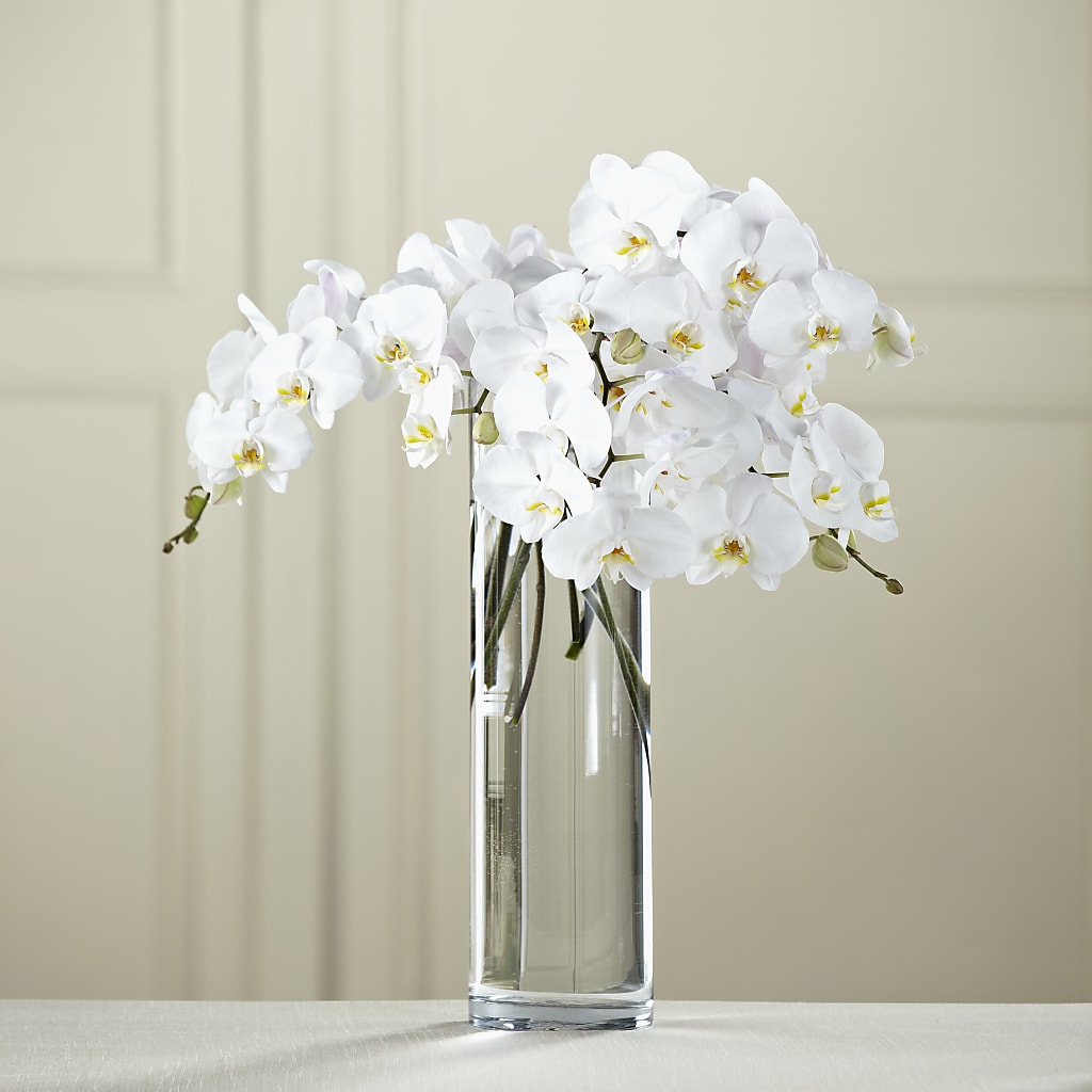 White Phalaenopsis Bouquet – Love Blossoms Florist, Lexington NC