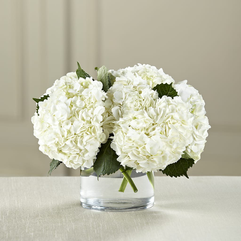 White Hydrangea Bouquet – Love Blossoms Florist, Lexington NC