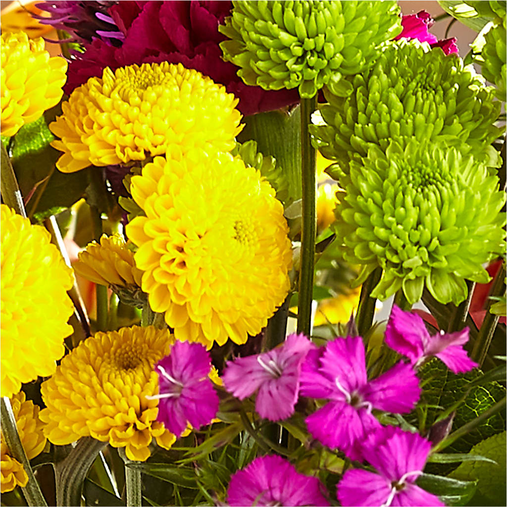 Bold & Bright – A Florist Original –  Love Blossoms Florist, Lexington NC