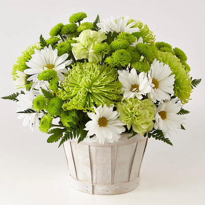 Lucky Charm Basket (Standard) –  Love Blossoms Florist, Lexington NC