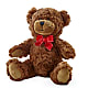 Adorable Plush Bear –  Love Blossoms Florist, Lexington NC
