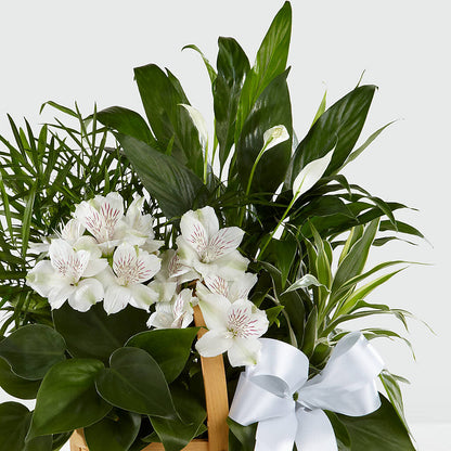 Peace & Serenity Dishgarden –  Love Blossoms Florist, Lexington NC
