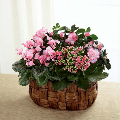 Pink Assortment –  Love Blossoms Florist, Lexington NC
