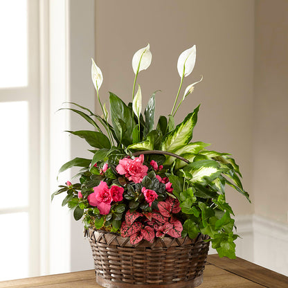 Dream in Pink Dishgarden –  Love Blossoms Florist, Lexington NC