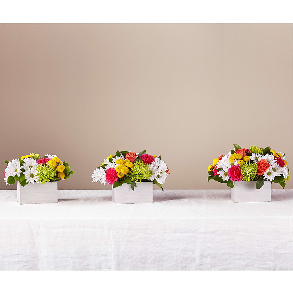Sorbet Bouquet –  Love Blossoms Florist, Lexington NC