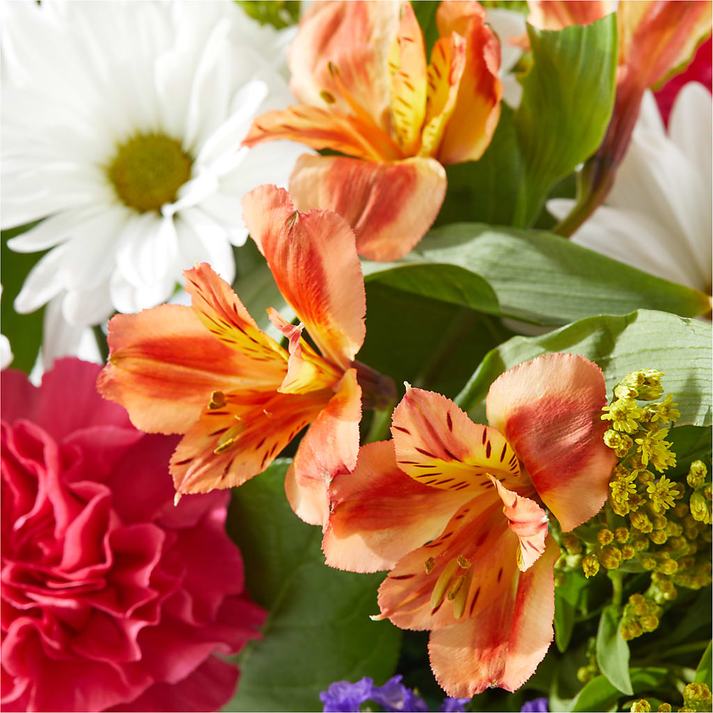 Oopsie Daisy Box Bouquet –  Love Blossoms Florist, Lexington NC