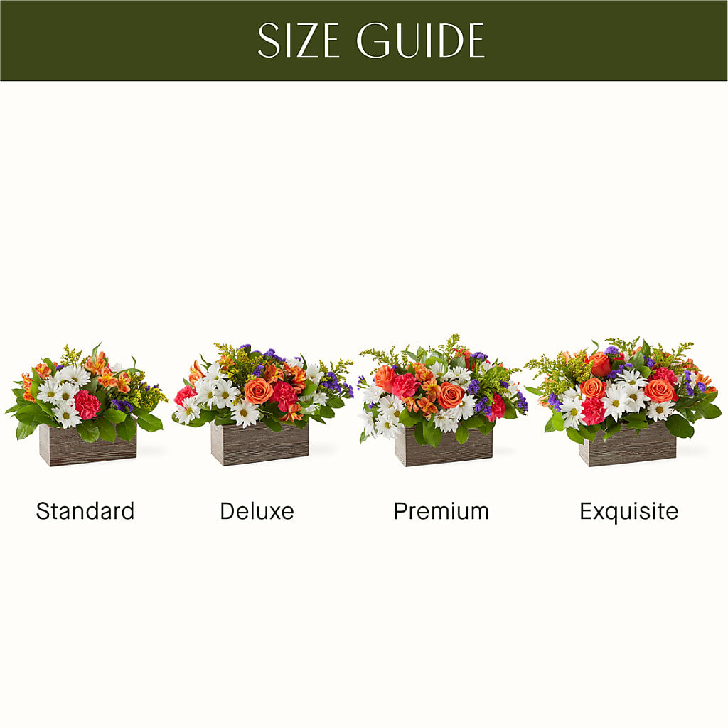 Oopsie Daisy Box Bouquet –  Love Blossoms Florist, Lexington NC