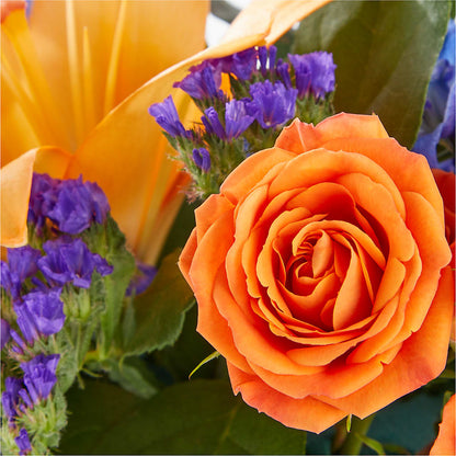 Radiant Citrus Box Bouquet –  Love Blossoms Florist, Lexington NC