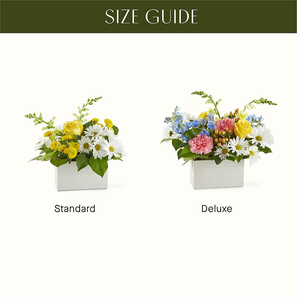 Sun Salutation Box Bouquet –  Love Blossoms Florist, Lexington NC