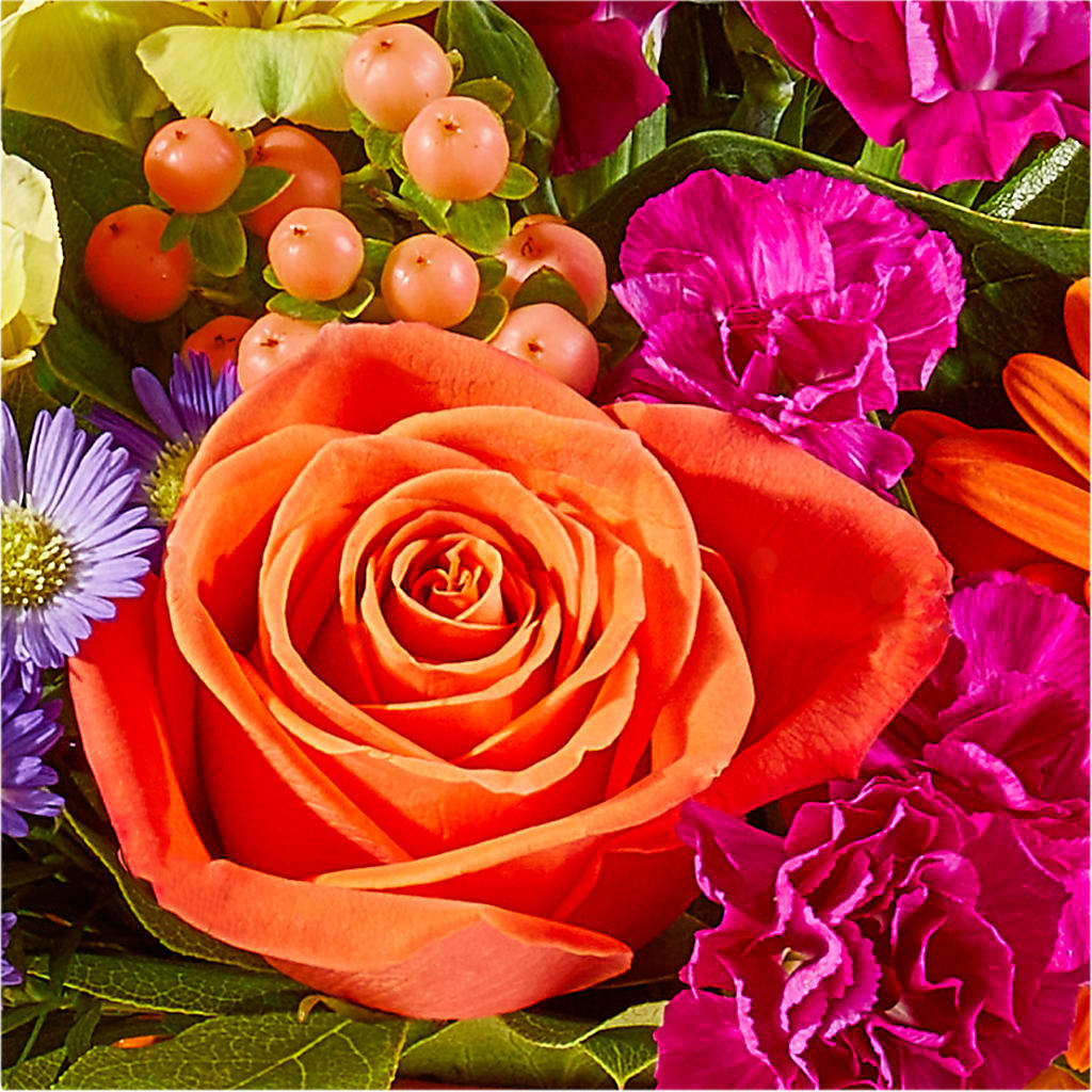 Tricks & Treats Pumpkin –  Love Blossoms Florist, Lexington NC