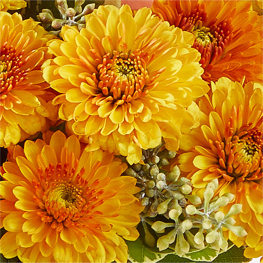 Peachy Pumpkin –  Love Blossoms Florist, Lexington NC