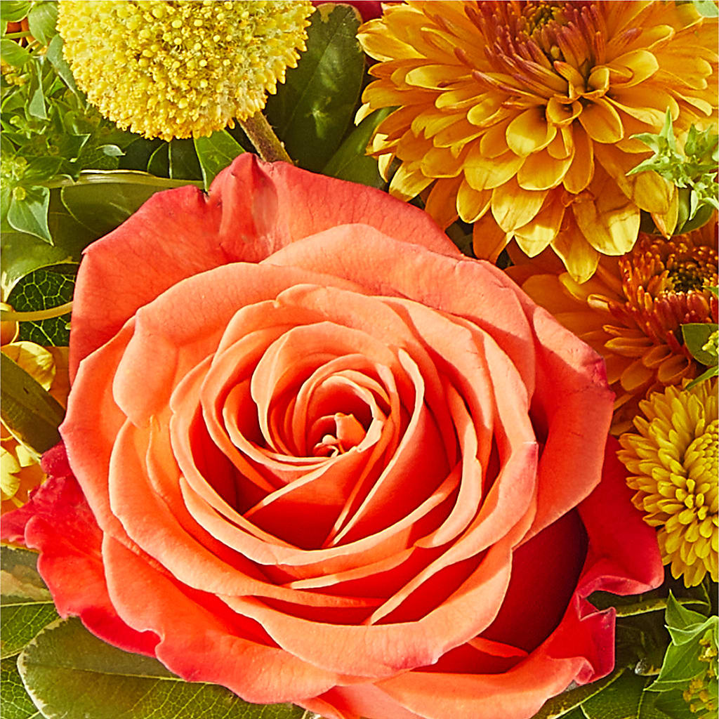 Gourdgeous Pumpkin –  Love Blossoms Florist, Lexington NC