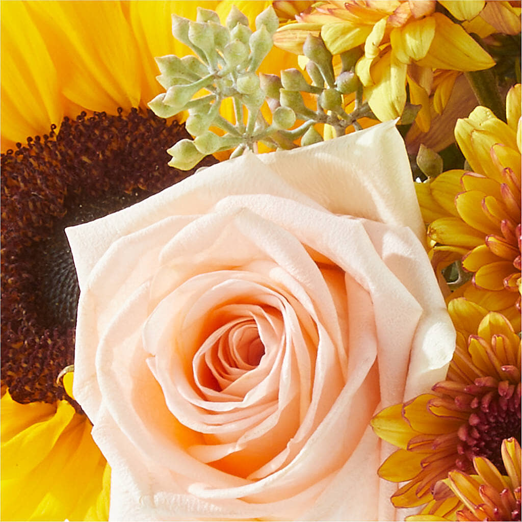 Pumpkin to Talk About Bouquet –  Love Blossoms Florist, Lexington NC