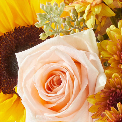 Pumpkin to Talk About Bouquet –  Love Blossoms Florist, Lexington NC