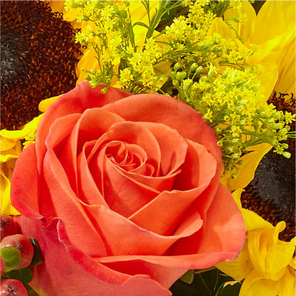 Pick of the Patch Pumpkin Bouquet –  Love Blossoms Florist, Lexington NC