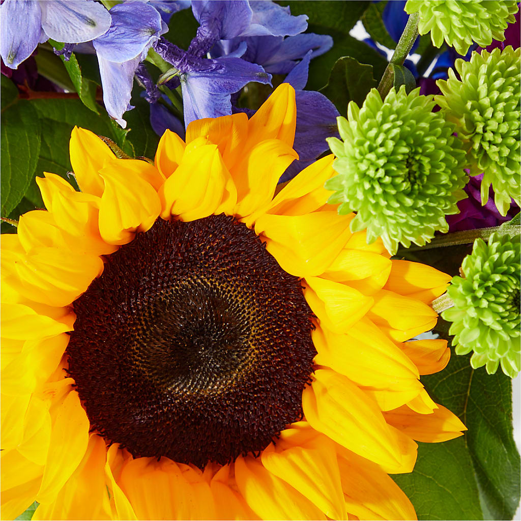 Catching Rays Bouquet –  Love Blossoms Florist, Lexington NC