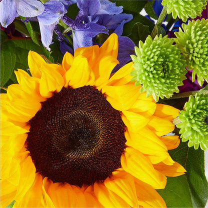 Catching Rays Bouquet –  Love Blossoms Florist, Lexington NC