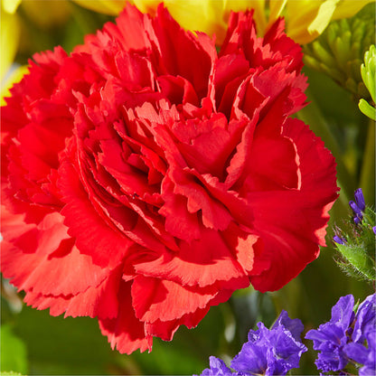 Brighter Days Bouquet –  Love Blossoms Florist, Lexington NC