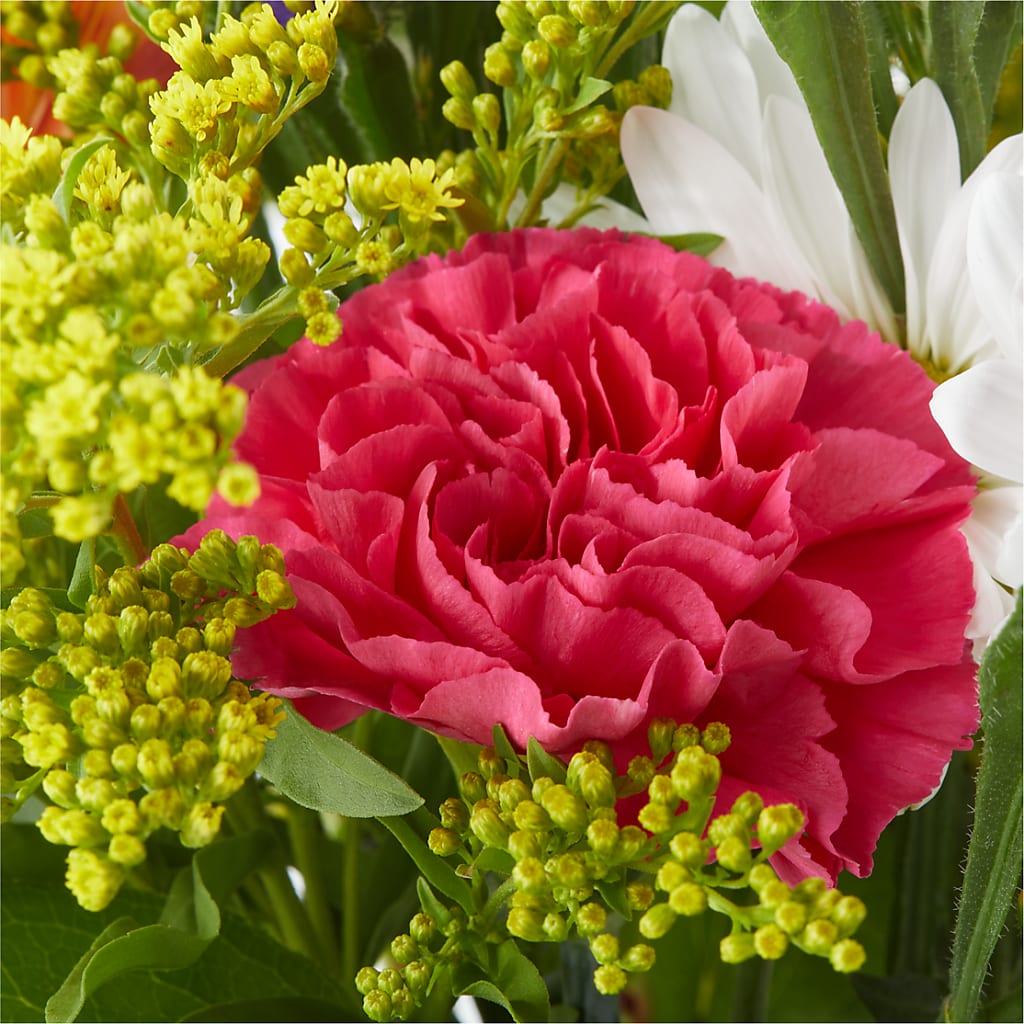 Oopsie Daisy Bouquet –  Love Blossoms Florist, Lexington NC