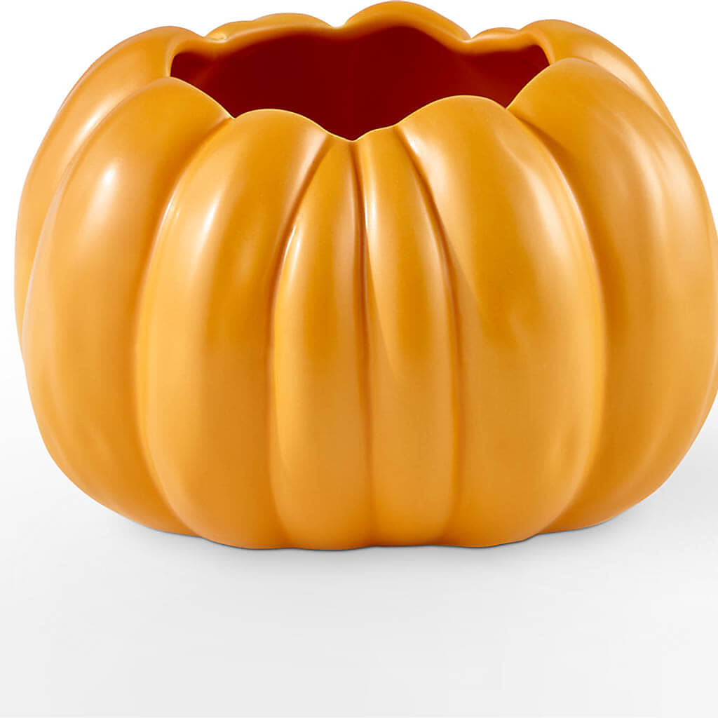 Golden Gourd Pumpkin Bouquet –  Love Blossoms Florist, Lexington NC