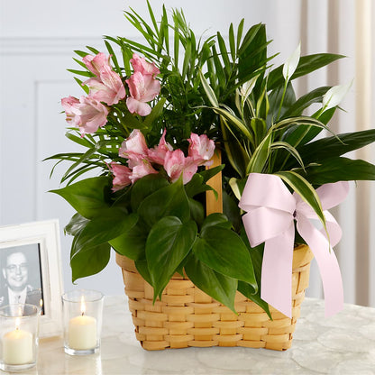 Living Spirit Dishgarden –  Love Blossoms Florist, Lexington NC