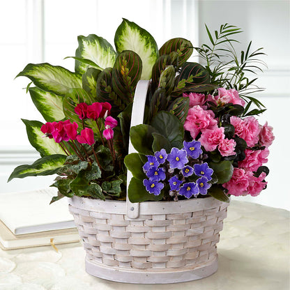 Peaceful Garden Planter –  Love Blossoms Florist, Lexington NC