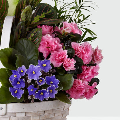 Peaceful Garden Planter –  Love Blossoms Florist, Lexington NC