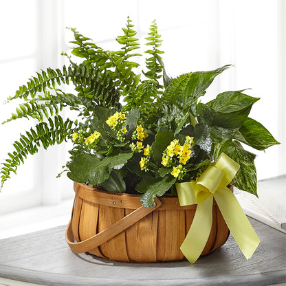 Always Dear Dishgarden –  Love Blossoms Florist, Lexington NC