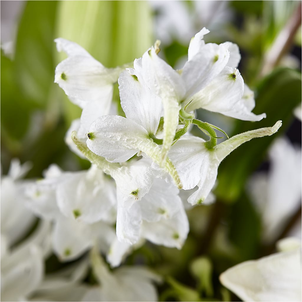Classic Ivory – A Florist Original –  Love Blossoms Florist, Lexington NC