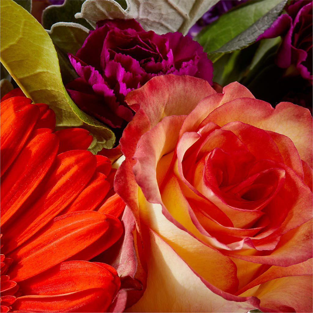 Sangria Bouquet –  Love Blossoms Florist, Lexington NC