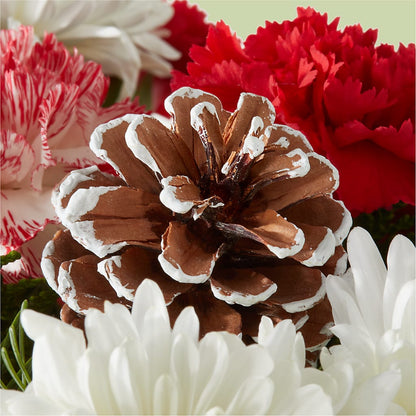 Candy Cane Lane Bouquet –  Love Blossoms Florist, Lexington NC