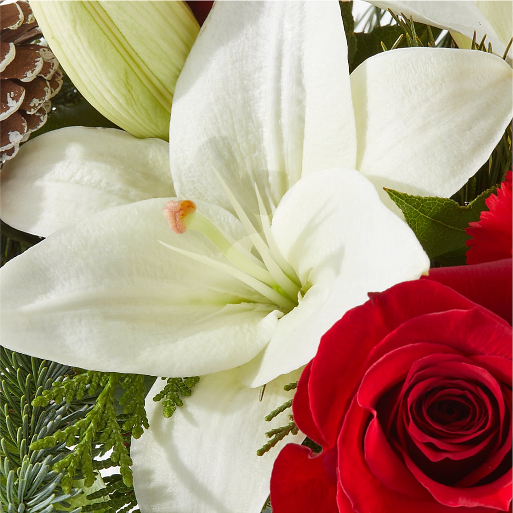 Oh So Jolly Bouquet –  Love Blossoms Florist, Lexington NC