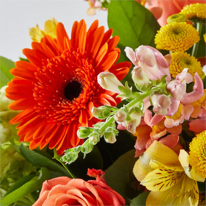 Autumn Sunshine Bouquet –  Love Blossoms Florist, Lexington NC
