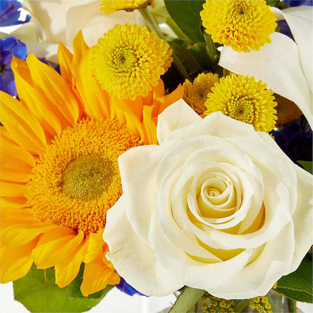 Stargazing Bouquet –  Love Blossoms Florist, Lexington NC