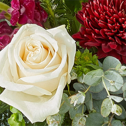 Cranberry Fizz Bouquet –  Love Blossoms Florist, Lexington NC